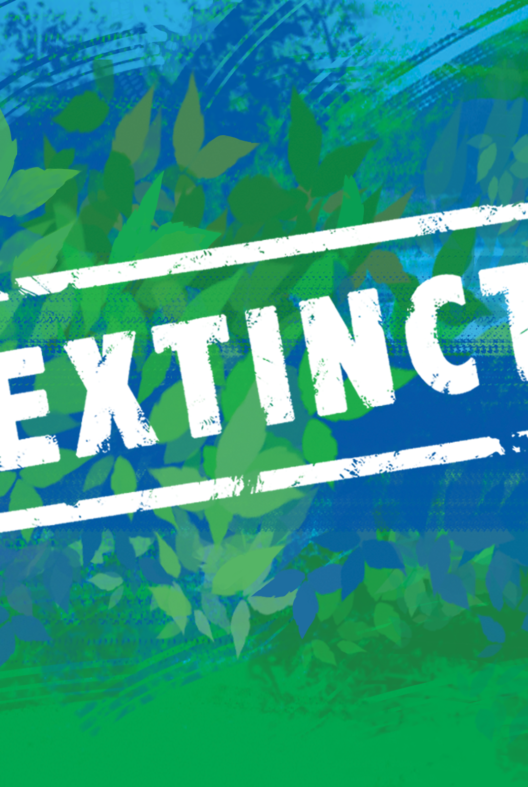 extinct startup tees